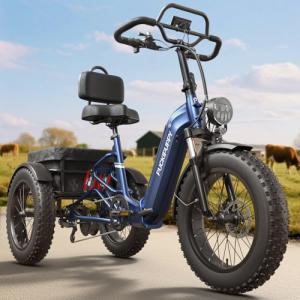 Electric Tricycle for Adults with Full Suspension