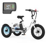 MOONCOOL 3-Wheel Electric Tricycle 250W 16-Inch