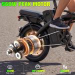 Folding Electric Bike for Adults and Teens