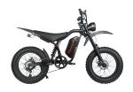 3000W E-Mountain Bike 48V 20AH 37MPH