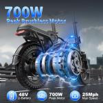 700W Folding Electric Bike for Adults and Teens