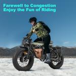 2500W Mountain eBike for Adults, 20in Wheels