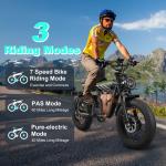 2500W Mountain eBike for Adults, 20in Wheels