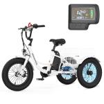 MOONCOOL 3-Wheel Electric Tricycle 250W 16-Inch