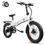 20in Fat Tire Foldable Ebike 750W 24 MPH