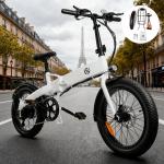 20in Fat Tire Foldable Ebike 750W 24 MPH