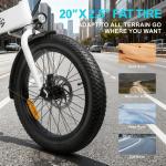 20in Fat Tire Foldable Ebike 750W 24 MPH