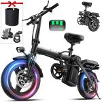 24 MPH Folding Electric Bike with Removable Battery