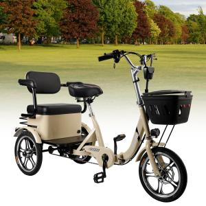 400W 48V Electric Folding Trike with Rear Seat