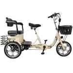 400W 48V Electric Folding Trike with Rear Seat
