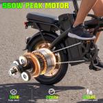 24 MPH Folding Electric Bike with Removable Battery