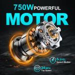 20in Fat Tire Foldable Ebike 750W 24 MPH