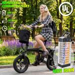 24 MPH Folding Electric Bike with Removable Battery