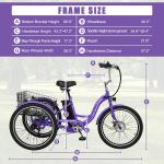 MOONCOOL 24" 26" Electric Tricycle with Removable Battery