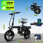 24 MPH Folding Electric Bike with Removable Battery