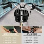 400W 48V Electric Folding Trike with Rear Seat