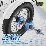 NAIZEA 16" Electric Fat Tire Tricycle
