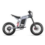 20" Fat Tire 1500W E-Bike for Adventure