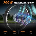 SLSY 26" Electric Tricycle 350W with Removable Battery