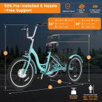 SLSY 26" Electric Tricycle 350W with Removable Battery
