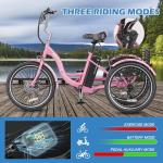 MOONCOOL 24'' Electric Trike with 350W Battery