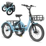 20" Fat Tire Foldable Electric Trike 1000W