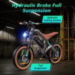 1500W Electric E-Mountain Bike with 20" Tires