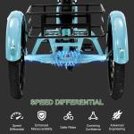 20" Fat Tire Foldable Electric Trike 1000W