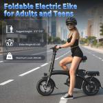 Peak 700W Foldable Electric Bike 25MPH