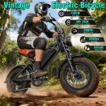 16" Fat Tire Electric Bike with 1500W Motor