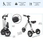 Topmate ES32 Adult Foldable Electric Tricycle