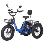NARRAK Adult Electric Tricycle with Removable Battery
