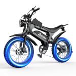 3000W Dual Motor Full Suspension Electric Mountain Bike