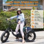 NARRAK Adult Electric Tricycle with Removable Battery