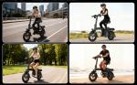 Peak 700W Foldable Electric Bike 25MPH