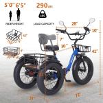 NARRAK Adult Electric Tricycle with Removable Battery