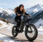 20" Electric Mountain Bike with Full Suspension