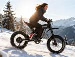 20" Electric Mountain Bike with Full Suspension