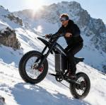 20" Electric Mountain Bike with Full Suspension