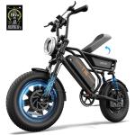 16" Fat Tire Electric Bike for Adults 1000W