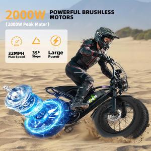 20" Fat Tire Electric Bike 2000W Off-Road