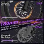 20" Fat Tire Electric Bike 2000W Off-Road