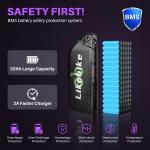 20" Fat Tire Electric Bike 2000W Off-Road