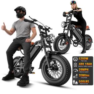 1200W Electric Fat Tire Bike with Dual Suspension