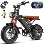 1200W Electric Fat Tire Bike with Dual Suspension