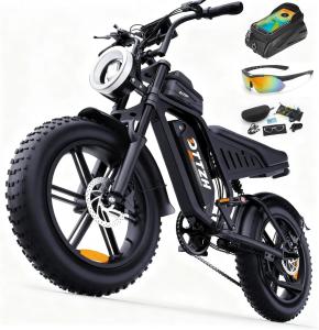 DTTZH F6 20" Fat Tire Electric Bike 2000W