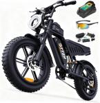 DTTZH F6 20" Fat Tire Electric Bike 2000W
