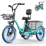 Electric Folding Tricycle with Removable Battery
