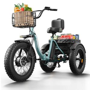 960W Folding Electric Trike with Fat Tires