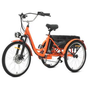 24" Electric Tricycle with Dual Battery and Basket